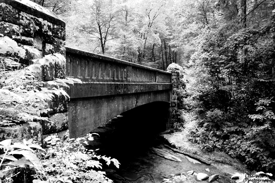 Over The River And Through The Woods Black and White Photograph by Lisa Wooten