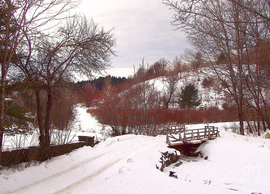 Winter Photograph - Over The river by Betsy Zimmerli