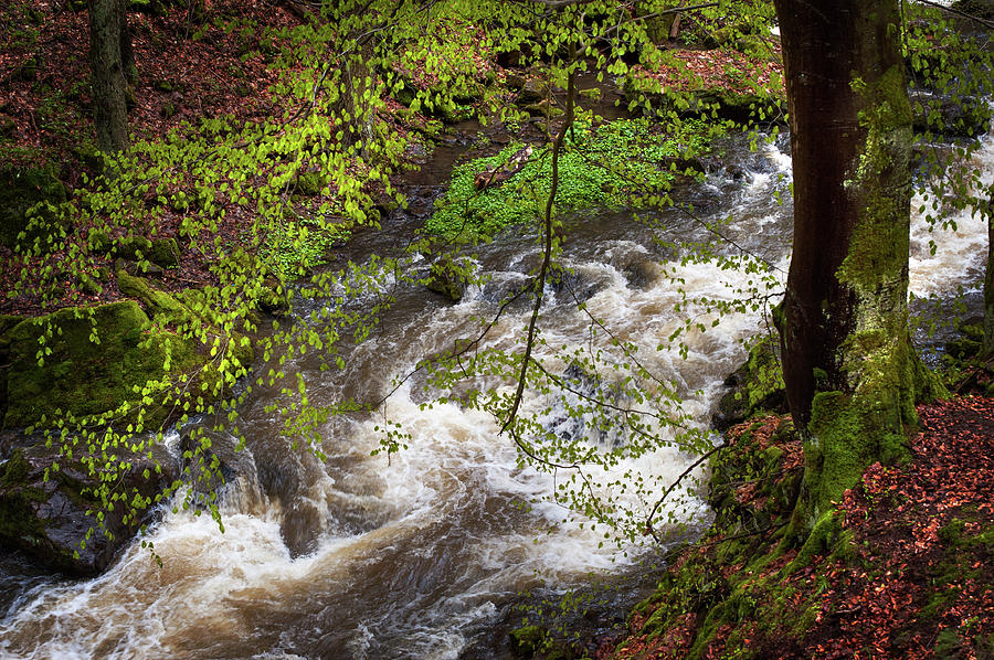 Spring Photograph - Over Troubled Waters by Jenny Rainbow