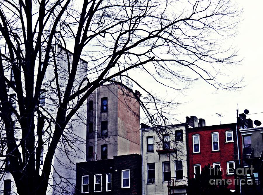 Architecture Photograph - Overcast and Cold by Sarah Loft