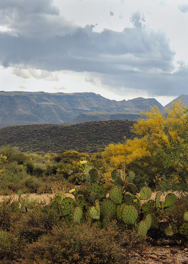 Mountain Photograph - Overcast Arizona by Gordon Beck