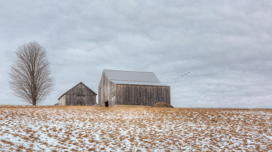 Barn Photograph - Overcast by Bill Wakeley