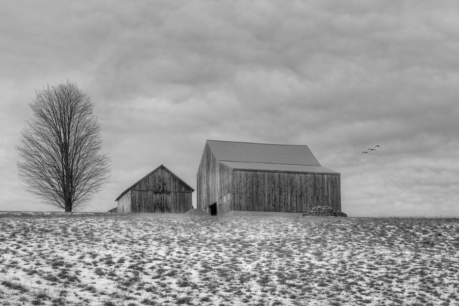 Overcast bw Photograph by Bill Wakeley