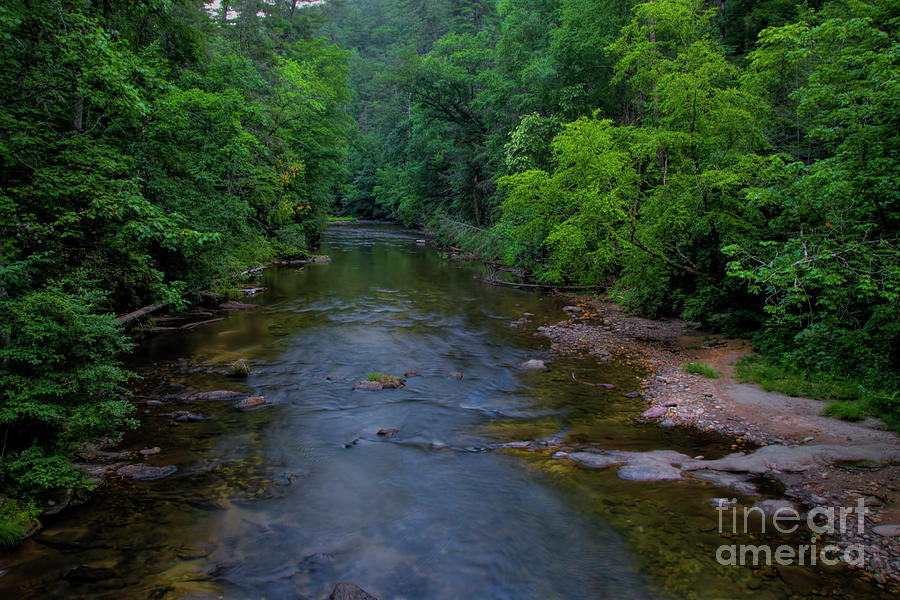 Overflow Creek Photograph by Barbara Bowen