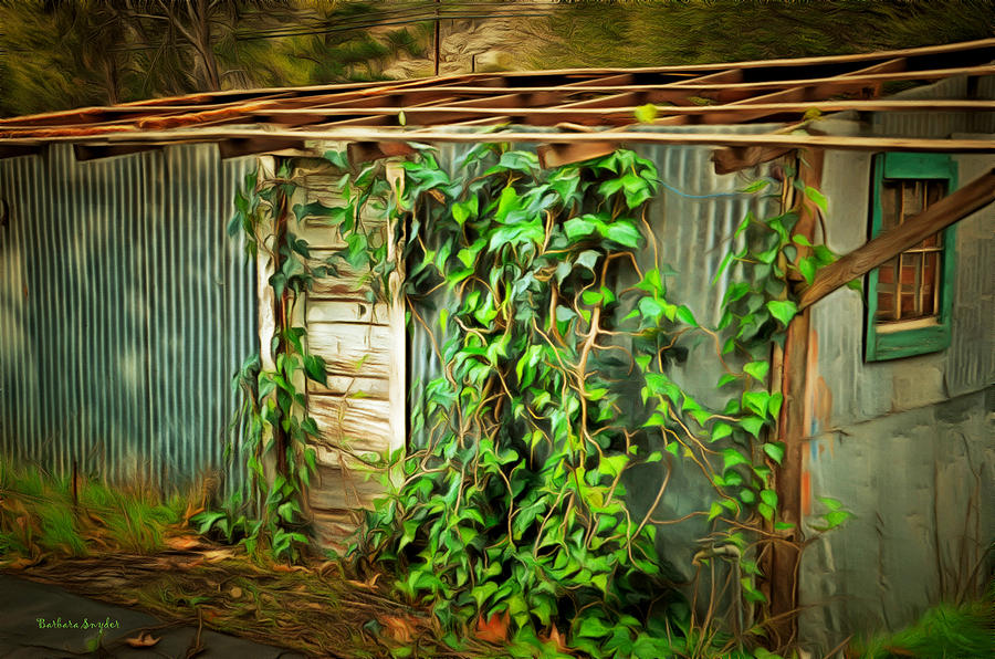 Overgrown And Abandoned Digital Painting Photograph by Barbara Snyder