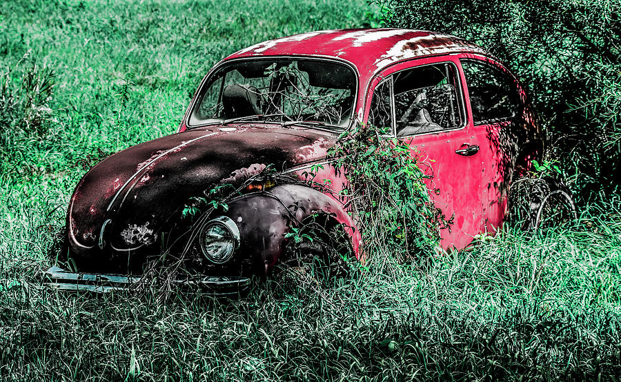 Vintage Photograph - Overgrown Bug by Jeremy Rickman