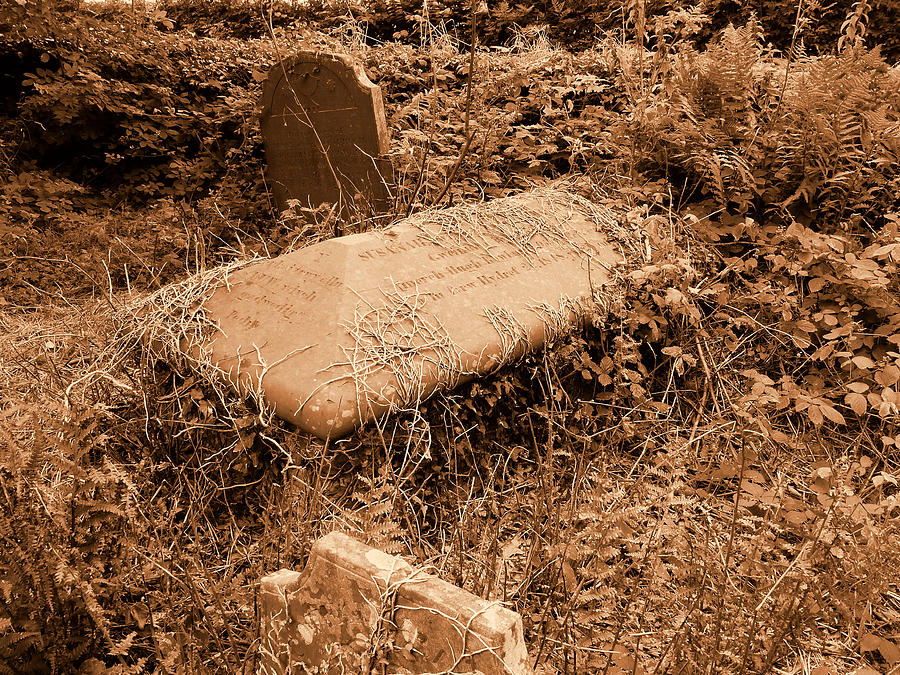 Overgrown graves Photograph by Phil Panton | Fine Art America