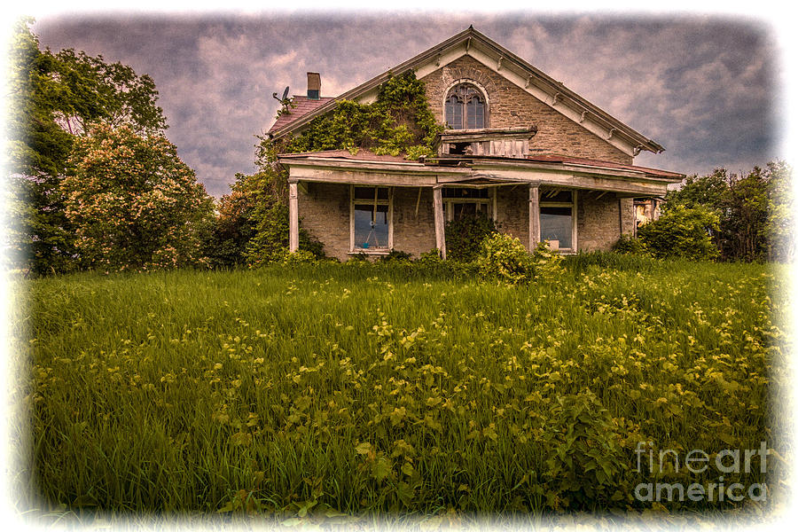Overgrown Grunge Photograph by Roger Monahan