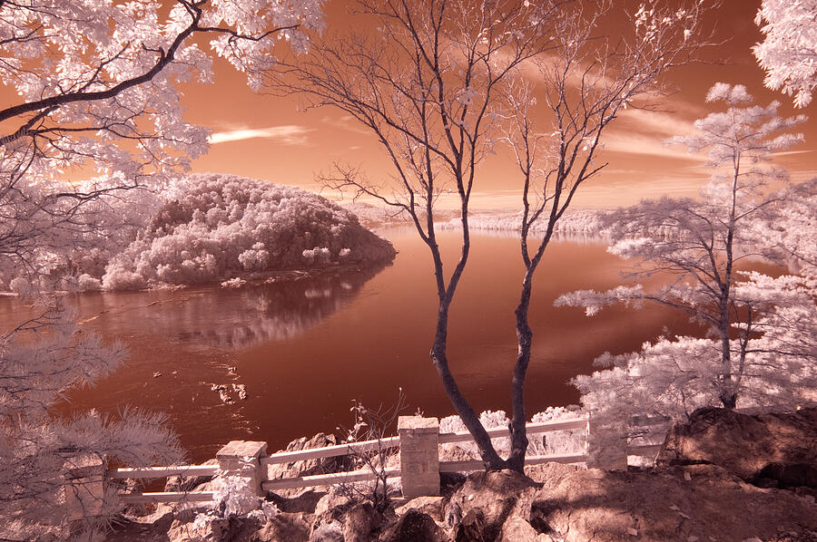 Tree Photograph - Overlook in IR by Paul W Faust -  Impressions of Light