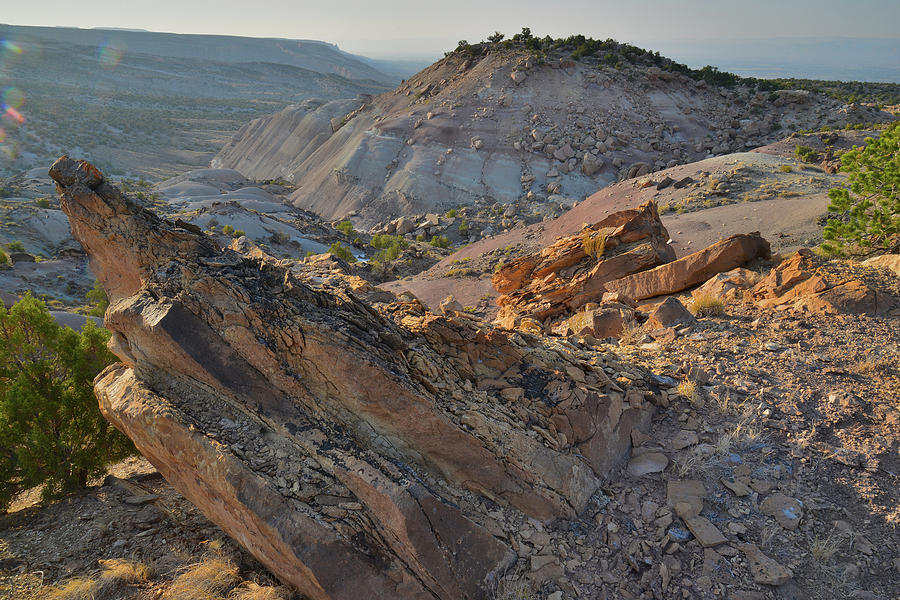 Overlooking Bangs Canyon from Bentonite Site Photograph by Ray Mathis