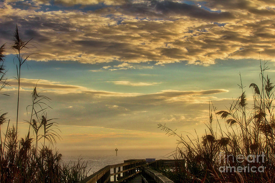Overlooking Currituck Sound Photograph by Karin Everhart