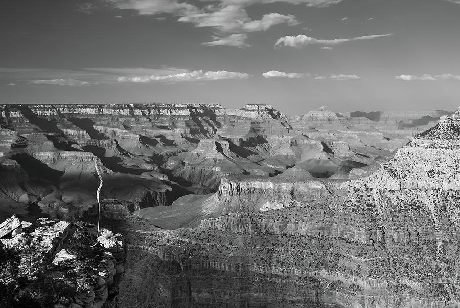 Overlooking Grand Canyon - Black and White  Photograph by Gregory Ballos