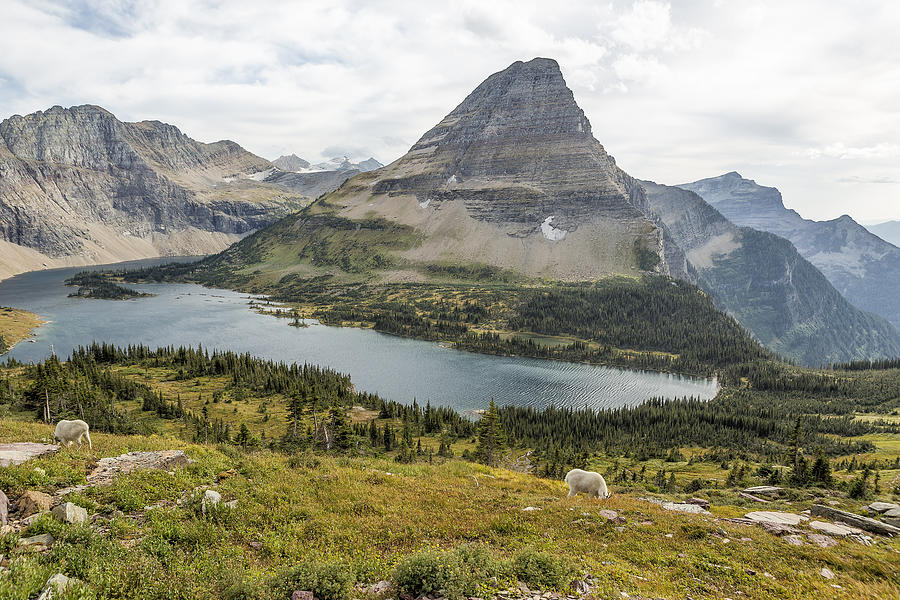 Overlooking Hidden Lake and BearHat Mountain Photograph by Belinda Greb