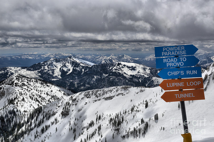 Overlooking Mineral Basin Photograph by Adam Jewell