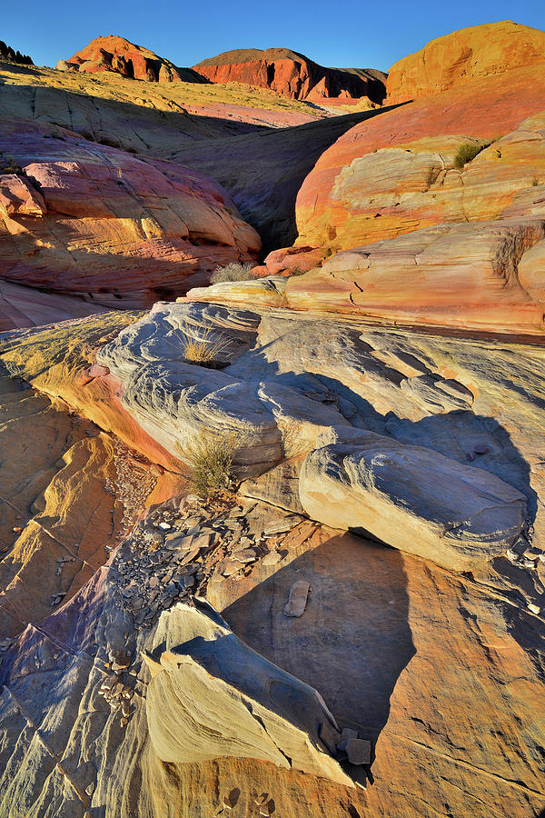 Overlooking Pastel Canyon in Valley of Fire State Park Photograph by Ray Mathis