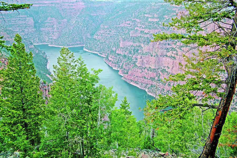 Overlooking Red Canyon in Flaming Gorge National Recreation Area, Utah Photograph by Ruth Hager