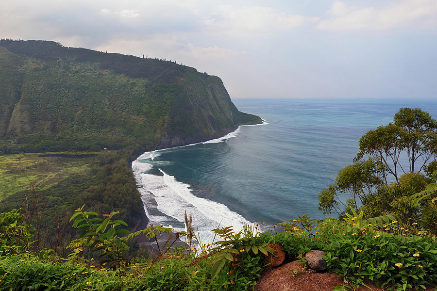 Overlooking Waipio Valley Photograph by Susan Rissi Tregoning