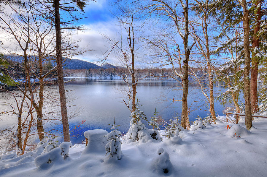 Overlooking West Lake Photograph by David Patterson
