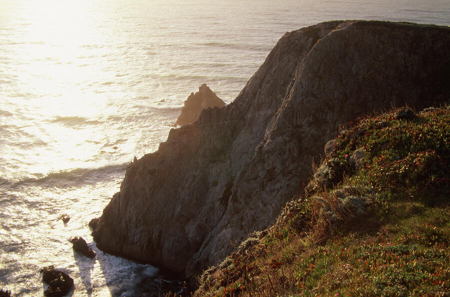 Sunset Photograph - Overview - Bodega Head by Soli Deo Gloria Wilderness And Wildlife Photography