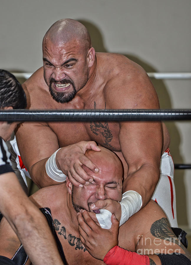 Overzealous Chiropractor or an Enraged Pro Wrestler Photograph by Jim Fitzpatrick