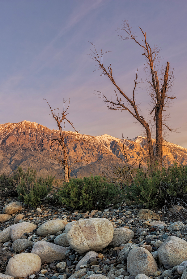 Owens Valley Morning Photograph by Loree Johnson