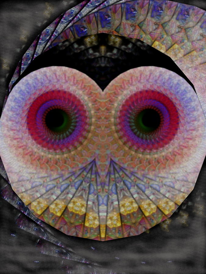 Owl Abstract Digital Art by James Smullins