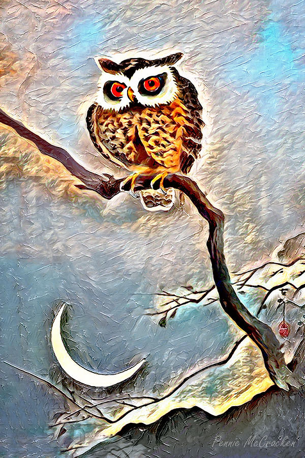 Owl And The Moon Digital Art by Pennie McCracken