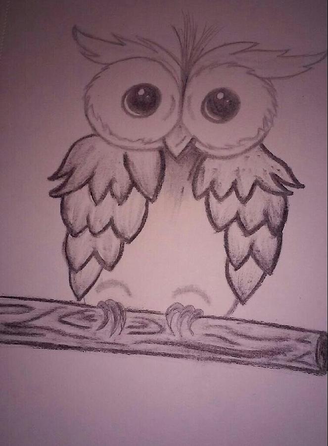 Owl Drawing by Ashley Morse - Fine Art America