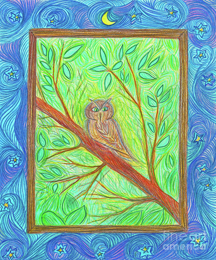Owl At My Window by jrr Drawing by First Star Art