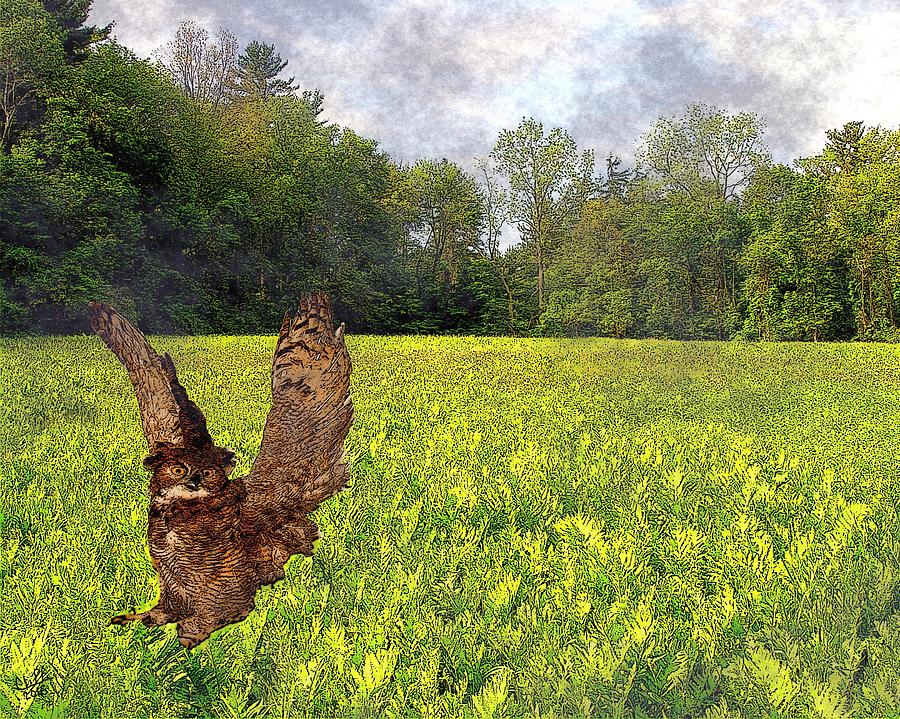 Owl at Warren Woods Painting by Cliff Wilson