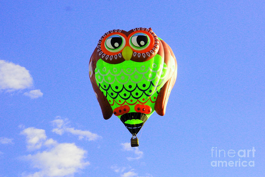 Owl balloon Photograph by Jeff Swan