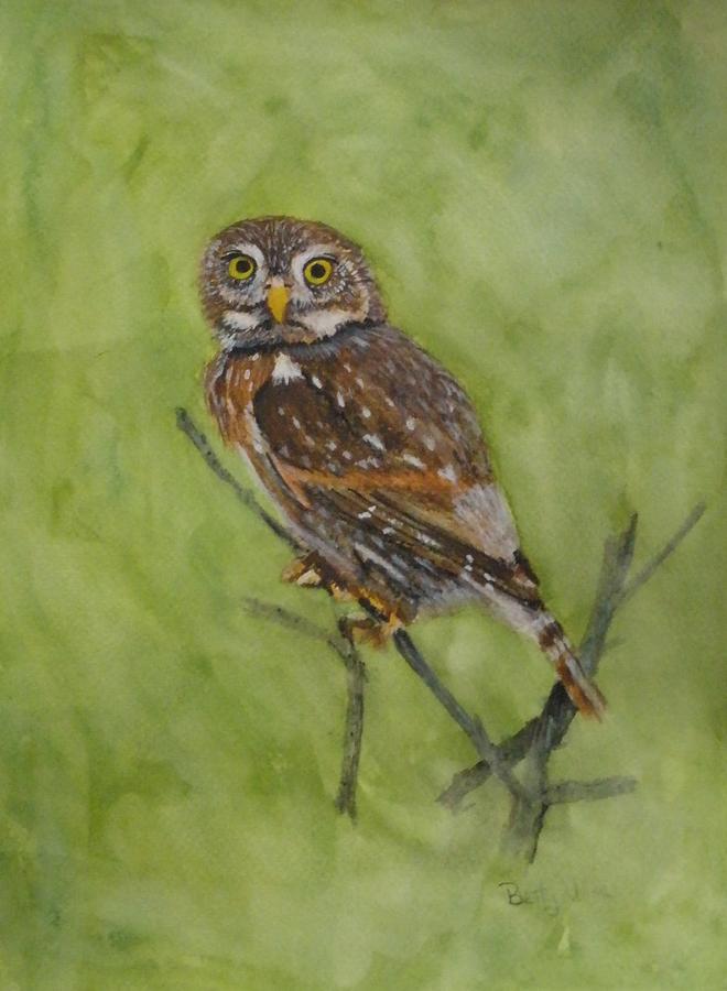 Owl Painting by Betty-Anne McDonald