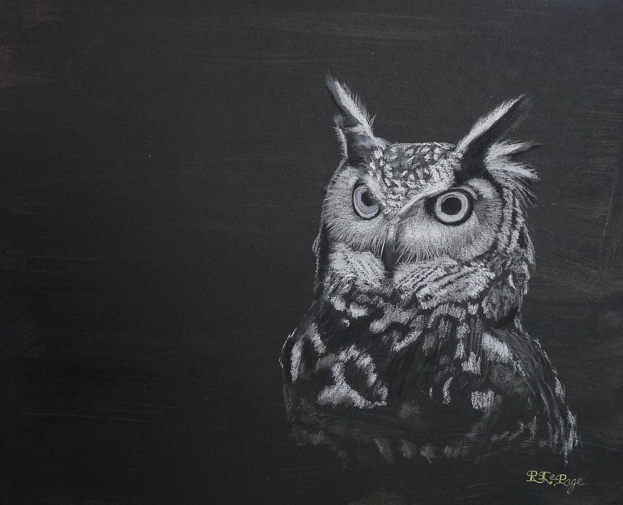 Owl Black and White Pastel by Richard Le Page
