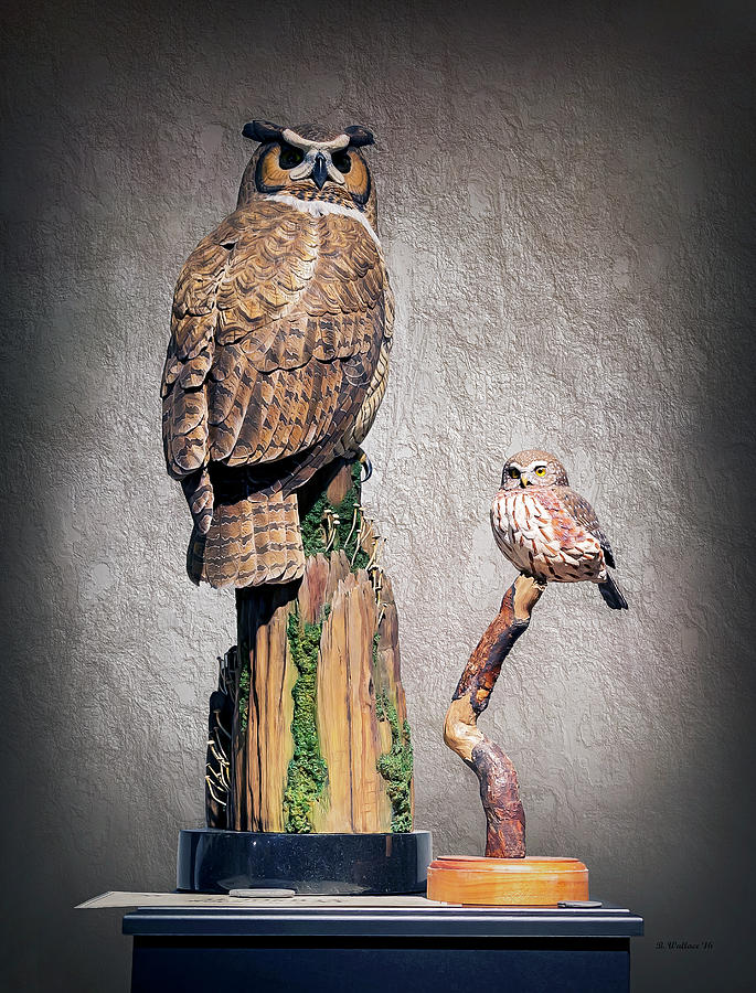 Owl Carvings Photograph by Brian Wallace
