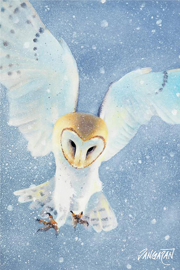 Owl Detail Painting by Tim Dangaran