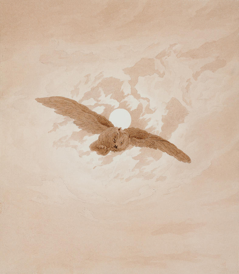 Owl Flying Against a Moonlit Sky Drawing by Caspar David Friedrich