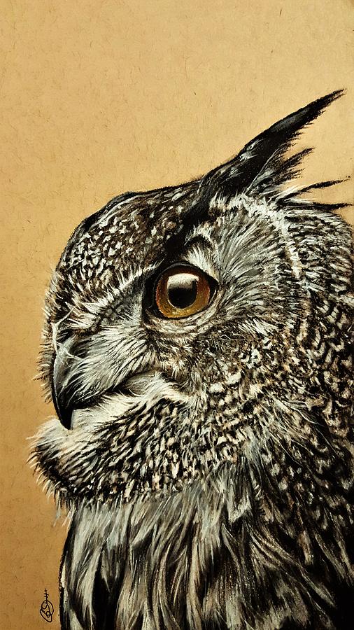 Realistic Owl Drawing Vector Images (over 200)