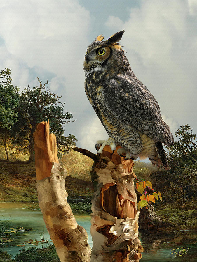 Owl in Birch Tree Digital Art by M Spadecaller