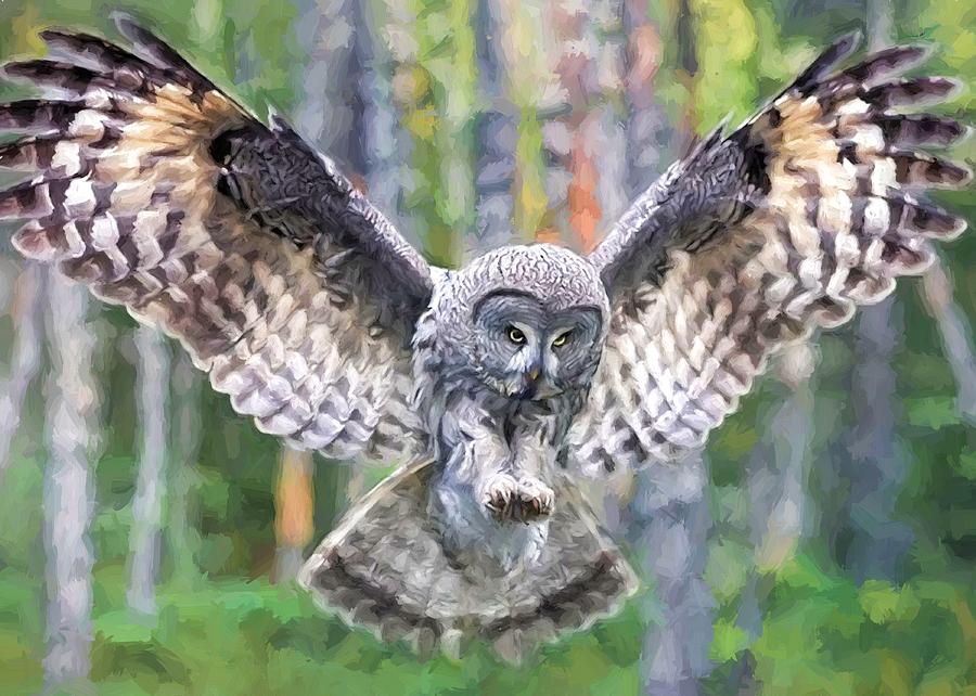Owl in Flight Digital Art by Charmaine Zoe