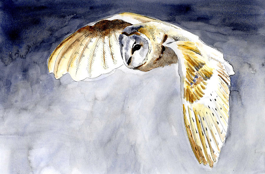 Owl Painting - Owl in Flight by Kate Cleaver