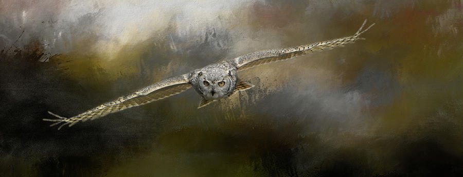 Owl in Flight Photograph by Marilyn Wilson