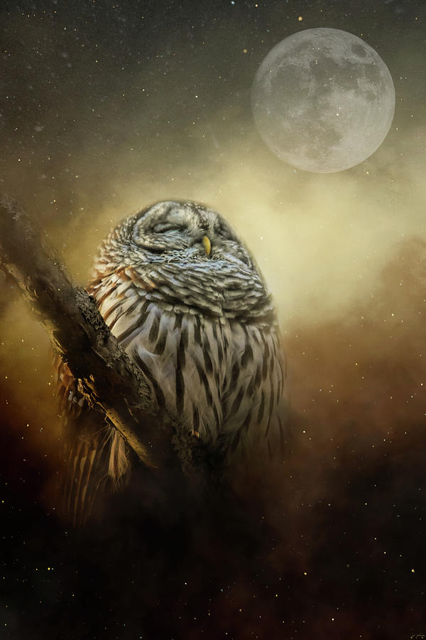 Owl In The January Moon Photograph by Jai Johnson