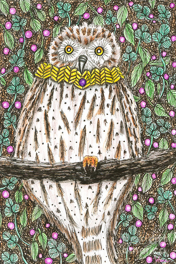 Owl Martin in a Cowl Drawing by Lise Winne