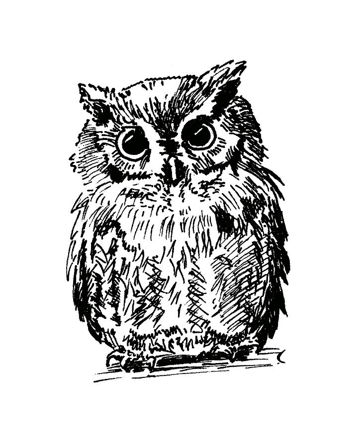 Owl Painting by Masha Batkova