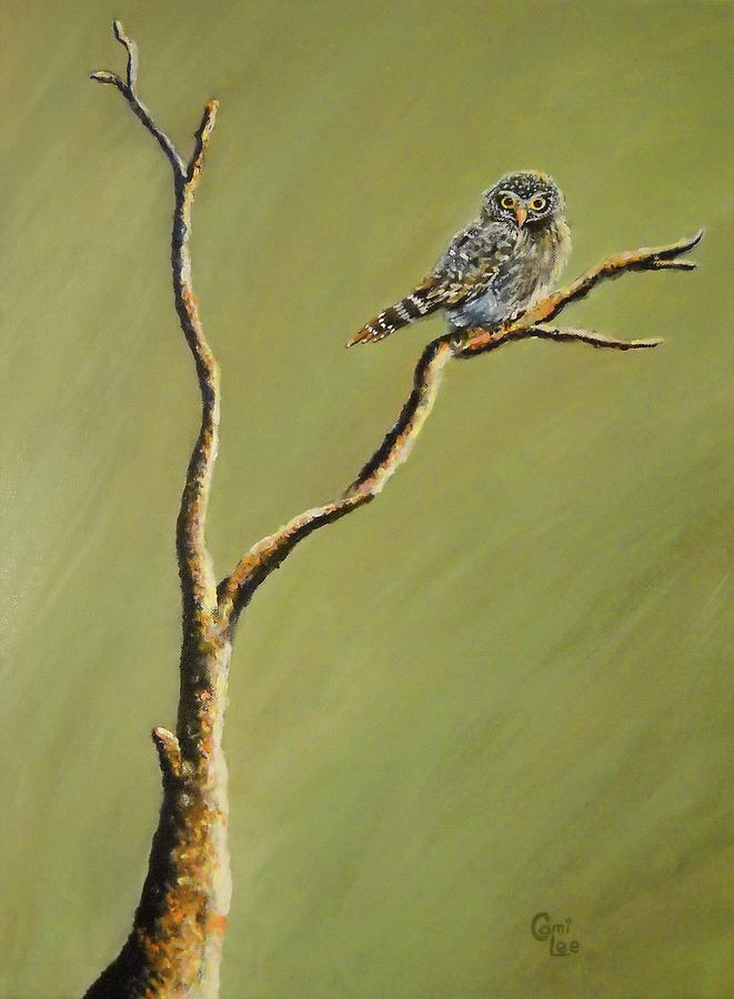Owl On A Branch Painting by Cami Lee