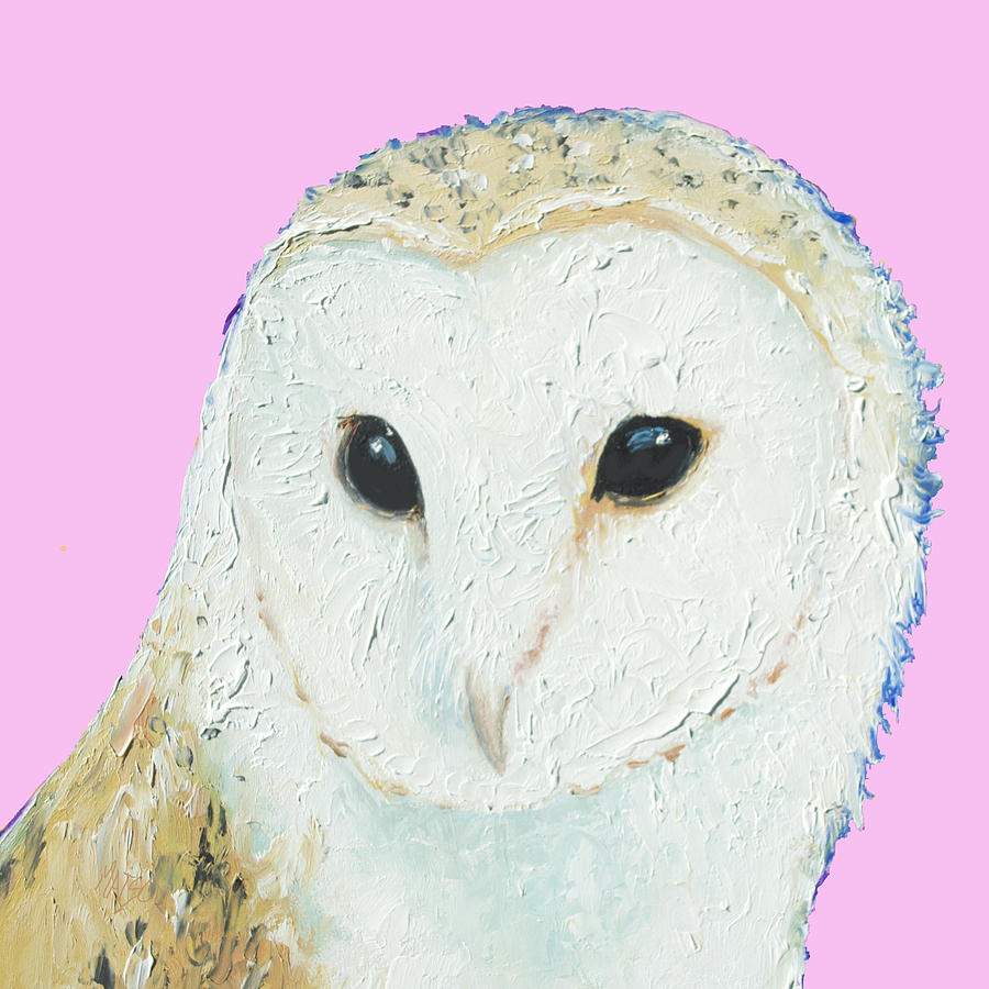 Owl Painting - Owl painting on pink background by Jan Matson