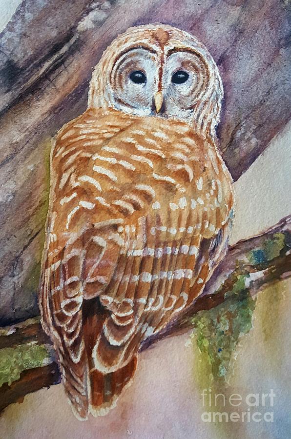 Barn Owl Painting - owl by Patricia Pushaw