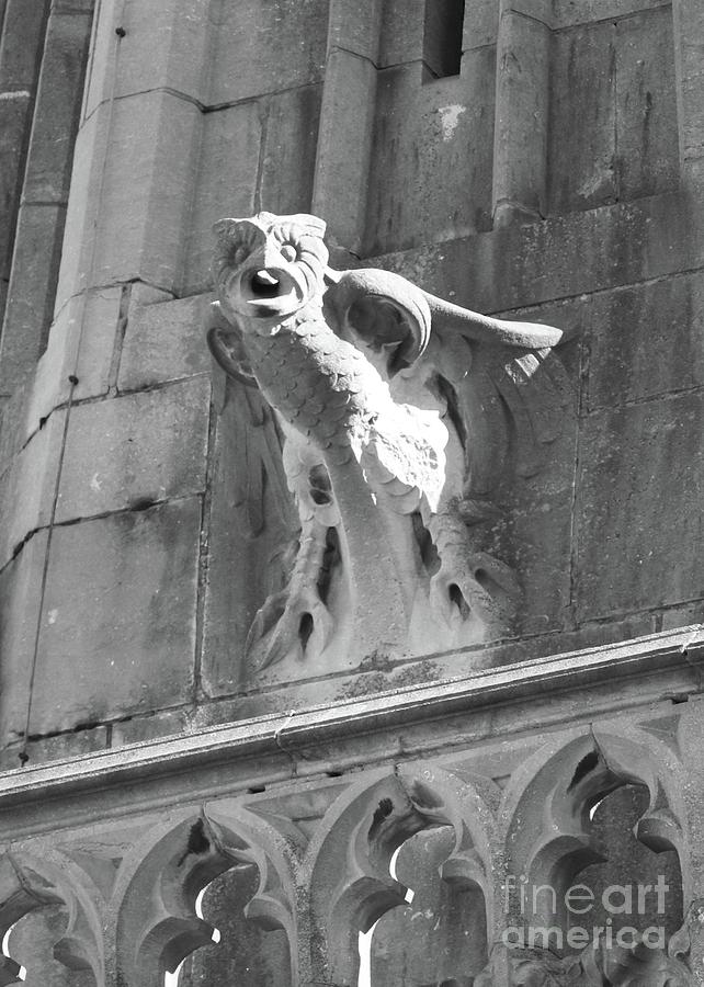 Owl Relief on Gothic Building Photograph by Carol Groenen
