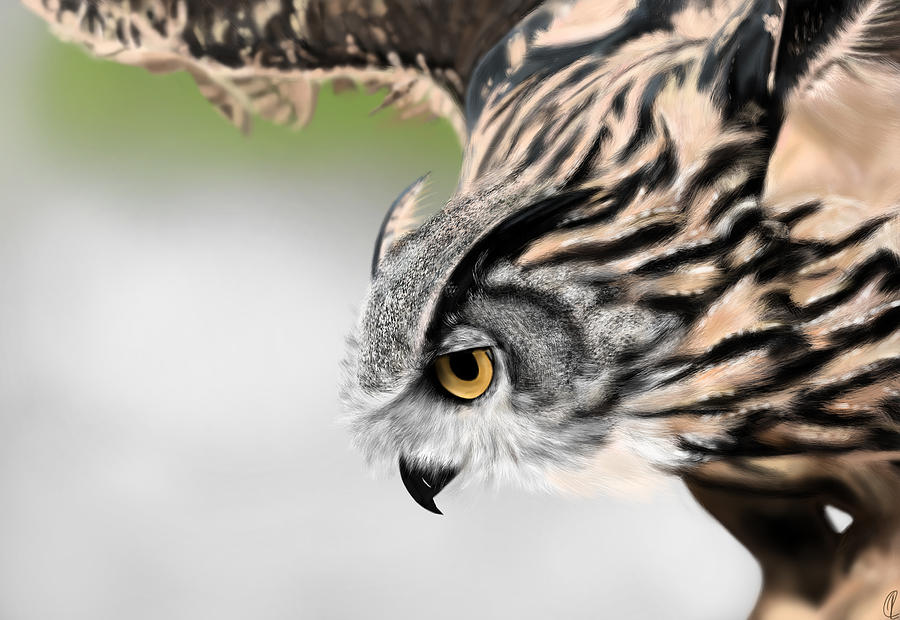 Owl Digital Art - Owl by Richard Kotchie