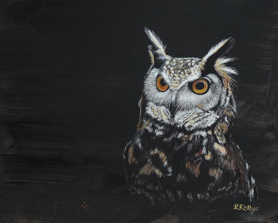 Owl Pastel by Richard Le Page